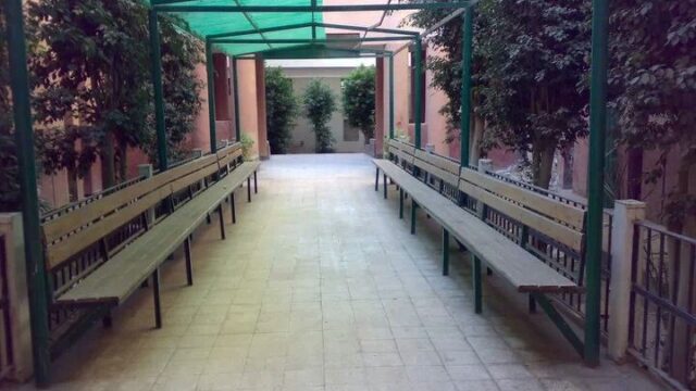 Google Photo 5