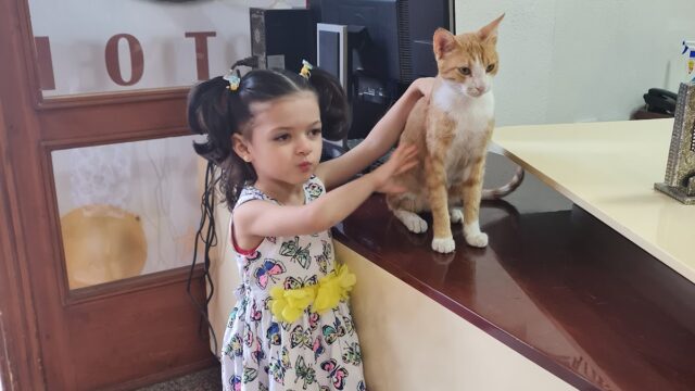 Google Photo 5