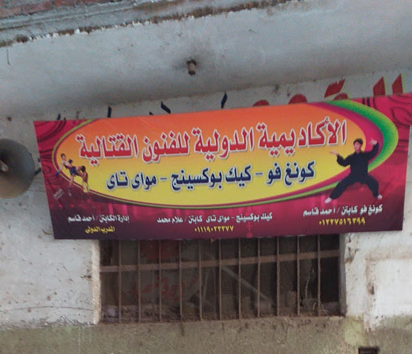 الاكاديميةالدولية للفنون القتالية