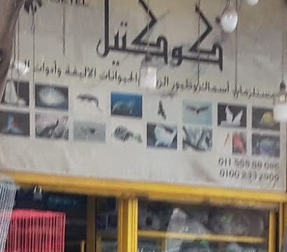 pyvg5phXirJedK2ueEjF_AsAD09I_tndnvRLUapjuXRJXtcNBlq99iyZlYXoS9-Iw800-h500-k-no.jpg