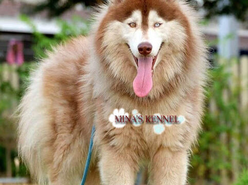 AHRPTWk23QHeSwbCIr7o_4GnUFlMmvU0ESU5UUF80ehj8BtceQgmQedAi9vge4s9DCZVILPyZb1dOYUm2_eHEMkiZxy6yXwWBxq7uT_UpnO2wXovwcrKKycY1lYMfKtmDf5ciVWZYMIw800-h500-k-no-2.jpg