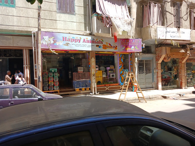 أناناس سعيدة