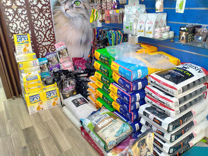 مدينة الحيوانات الأليفة