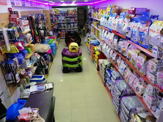 حكايات سعيدة