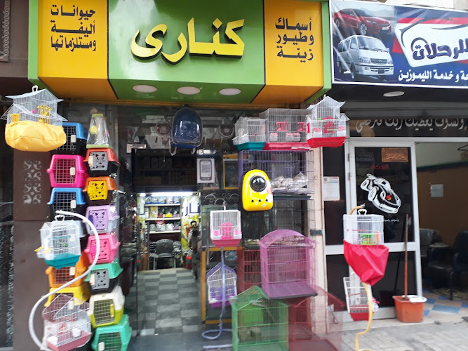مدير الموقع