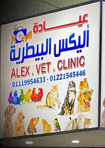 الجيو تيانتة