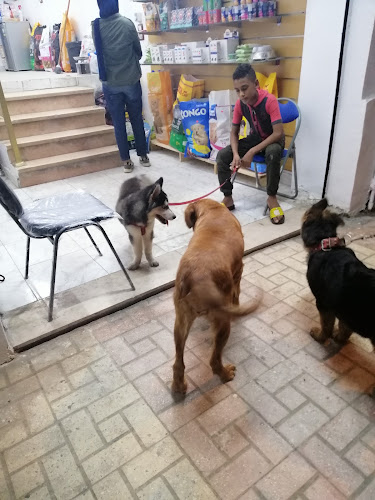 عيادة إمباير للحيوانات الأليفة