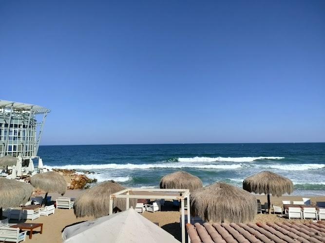 بيت شباب الإسكندرية