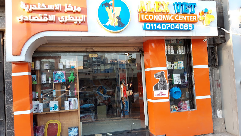 مركز اليكس فيت الاقتصادي .المركز الاسكندرية للطيران الاقتصادي