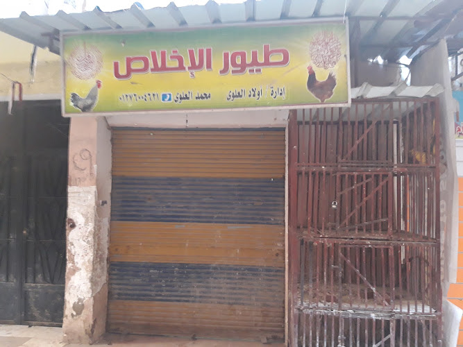 أنظمة الإجابات
