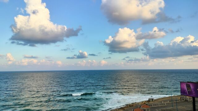 Google Photo 3