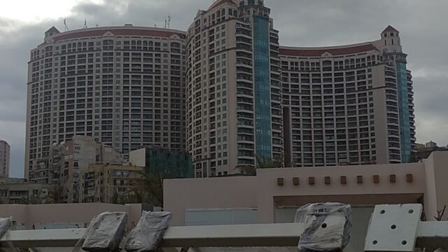 Google Photo 4