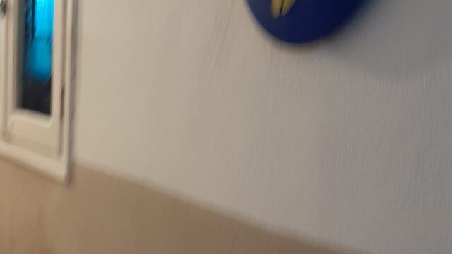 Google Photo 1