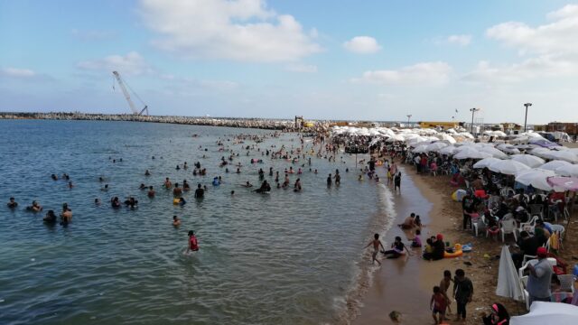 Google Photo 4