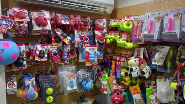 Google Photo 5