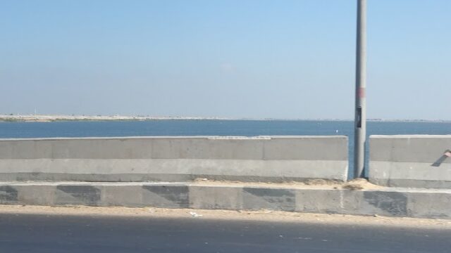Google Photo 5