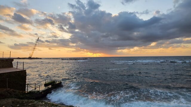 Google Photo 1