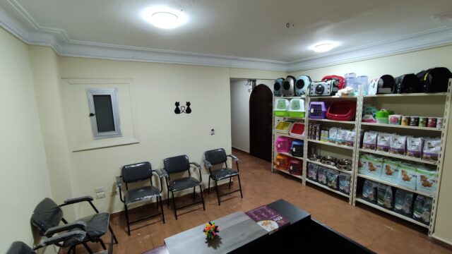 Google Photo 3