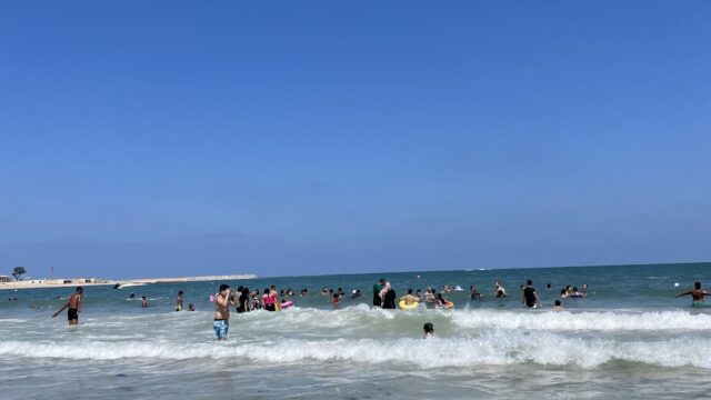 Google Photo 2