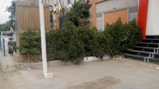 Google Photo 5