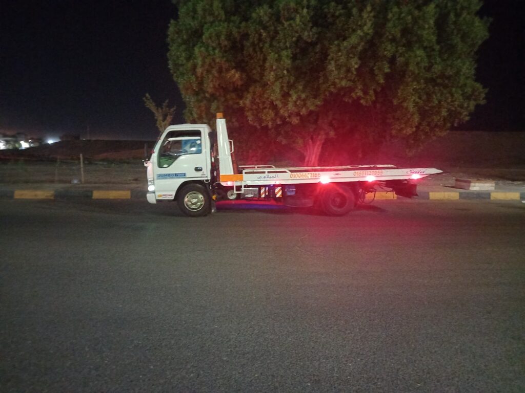 Petroleum services