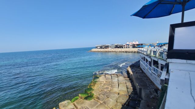 Google Photo 5