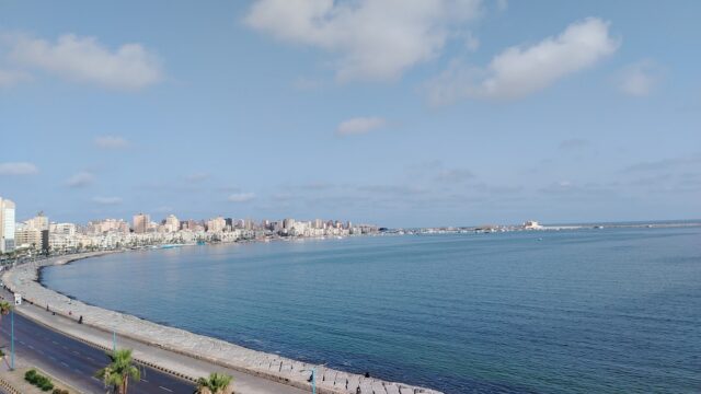 Google Photo 5