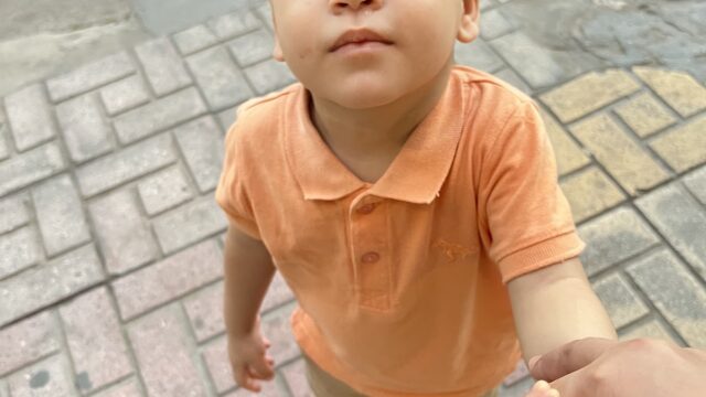 Google Photo 2