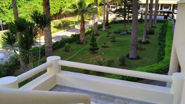 Google Photo 5