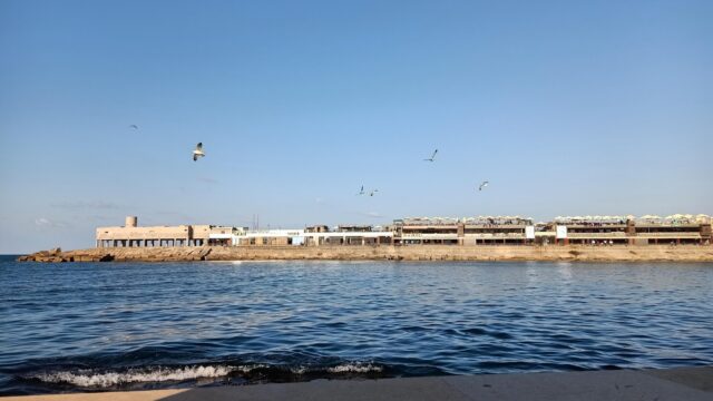 Google Photo 5