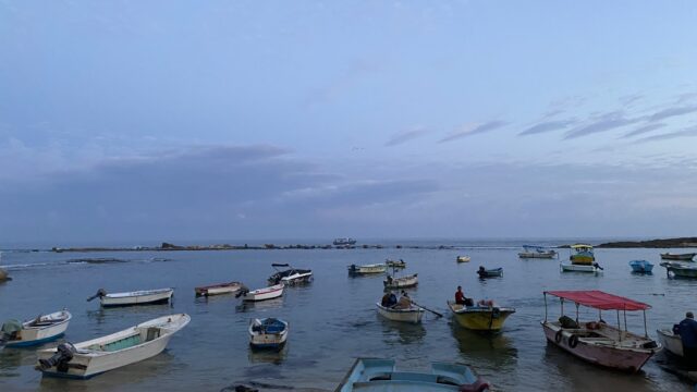Google Photo 5