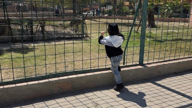 Google Photo 4