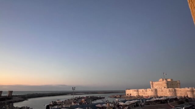 Google Photo 3
