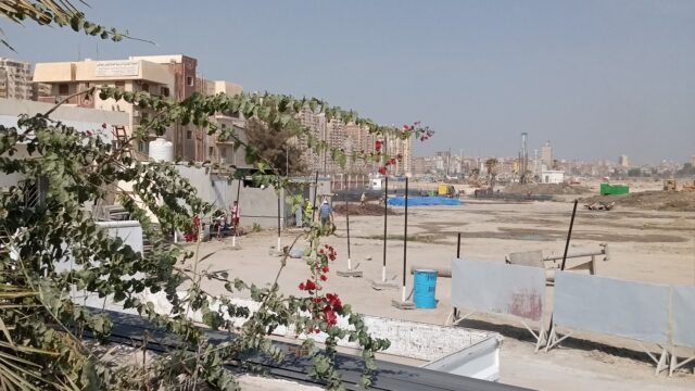 Google Photo 3