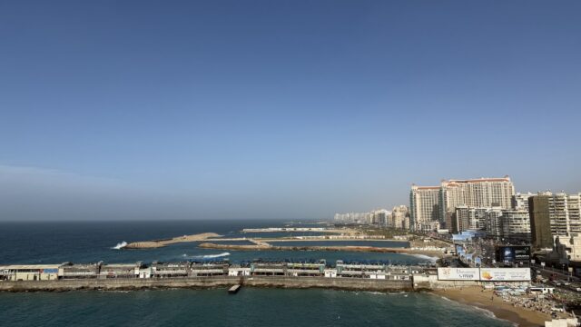 Google Photo 1