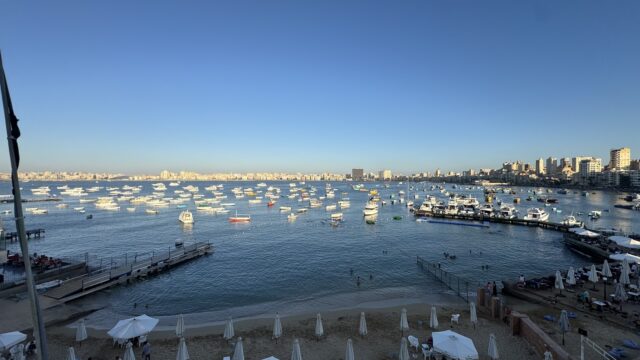 Google Photo 5