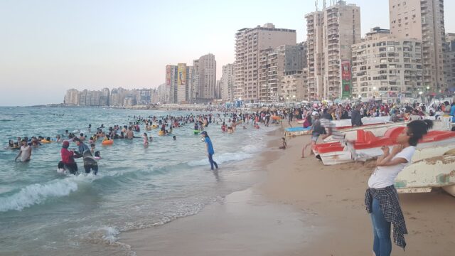 Google Photo 2