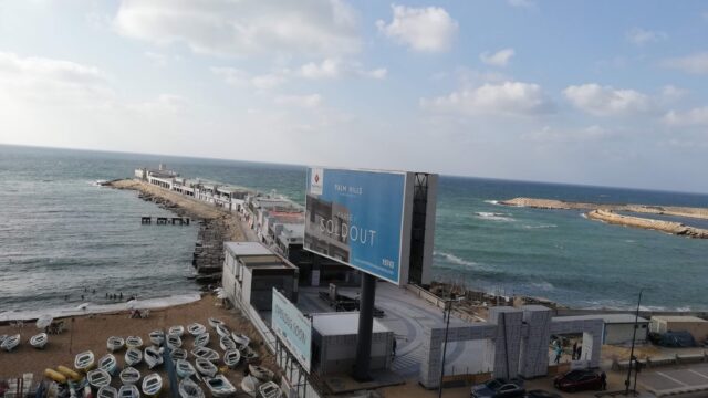 Google Photo 2