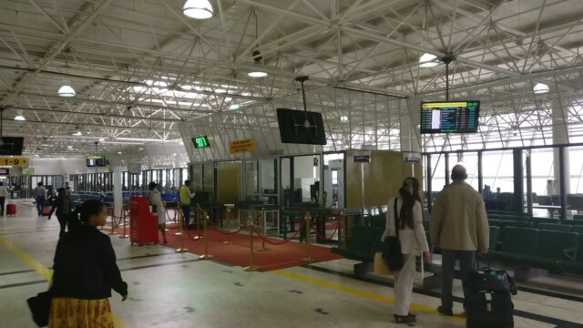 Google Photo 2