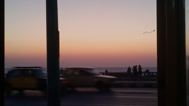 Google Photo 5