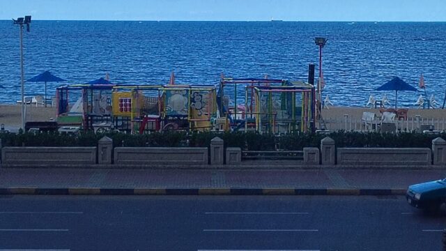 Google Photo 3