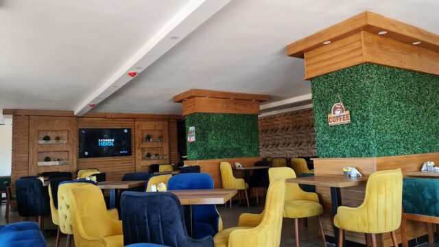 Google Photo 1