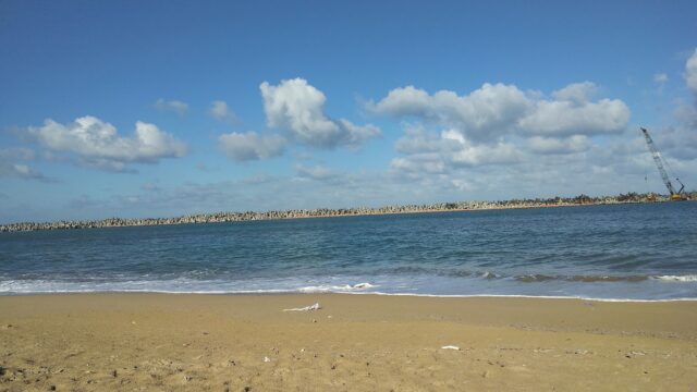 Google Photo 3