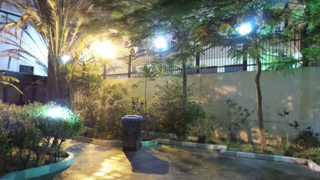 Google Photo 5