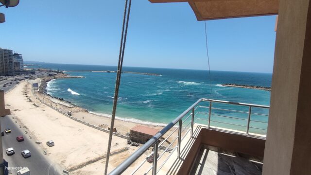 Google Photo 1