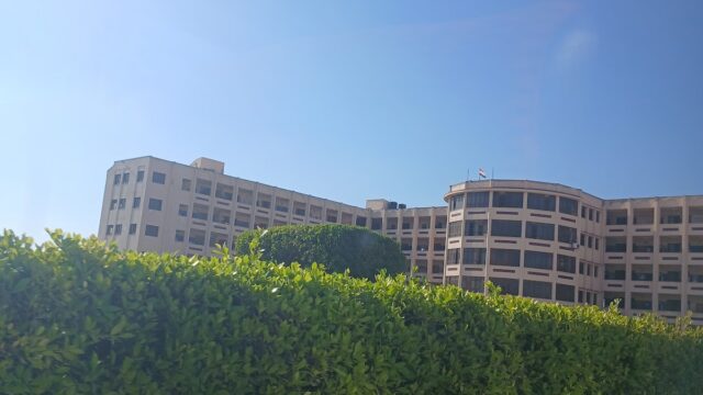 Google Photo 4