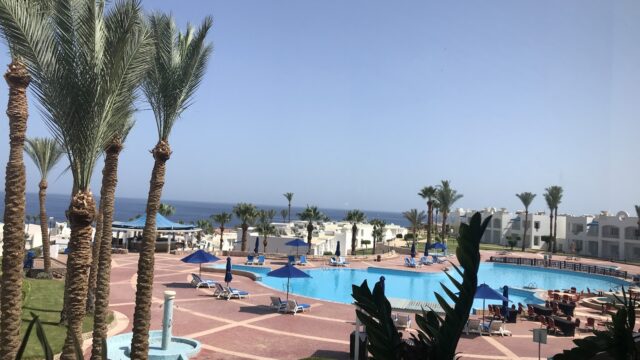 Google Photo 3