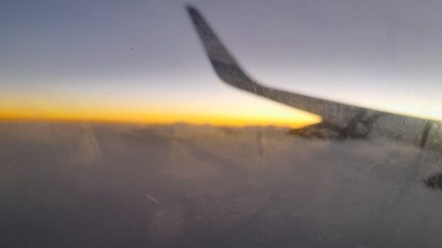 Google Photo 4