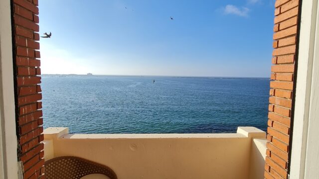 Google Photo 3