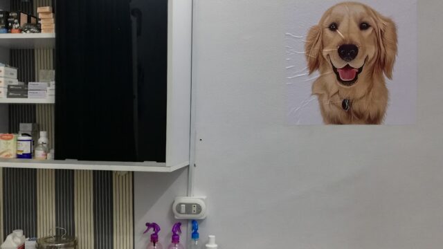 Google Photo 3